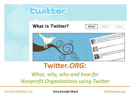 Twitter.ORG: What, why, who and how for Nonprofit Organizations using Twitter AmySampleWard.org Amy Sample Ward NetSquared.org.