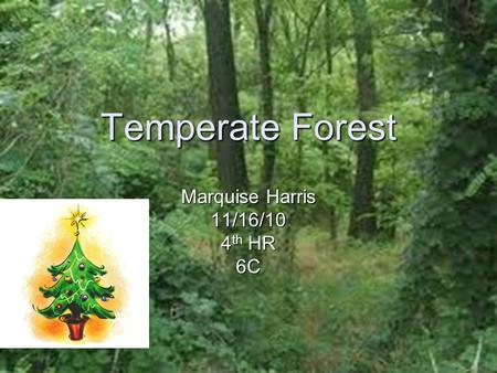 Temperate Forest Marquise Harris 11/16/10 4 th HR 6C.