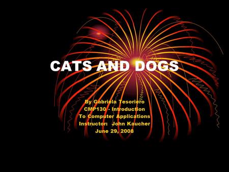 CATS AND DOGS By Gabriela Tesoriero CMP130 - Introduction To Computer Applications Instructor: John Kaucher June 29, 2008.