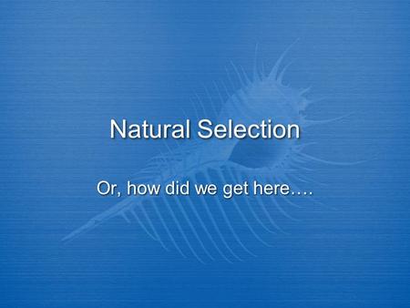 Natural Selection Or, how did we get here….. Key concepts: Communicate scientific understandings using descriptions, explanations, and models Explain.