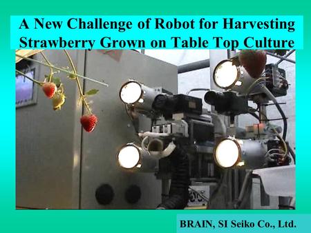 A New Challenge of Robot for Harvesting Strawberry Grown on Table Top Culture BRAIN, SI Seiko Co., Ltd.