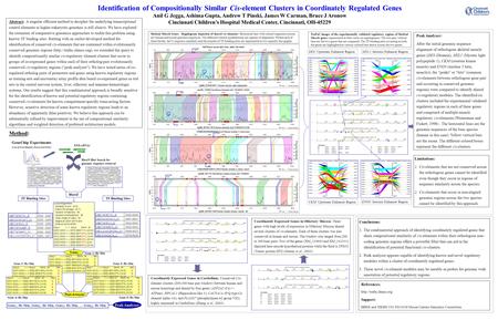 Identification of Compositionally Similar Cis-element Clusters in Coordinately Regulated Genes Anil G Jegga, Ashima Gupta, Andrew T Pinski, James W Carman,