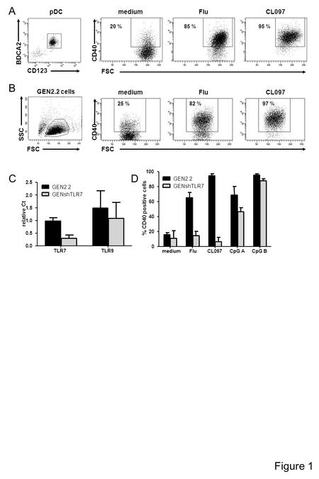 FSCCD40 mediumFluCL097 25 %82 %97 % SSC FSC GEN2.2 cells B mediumFluCL097CpG ACpG B 0 20 40 60 80 100 GEN2.2 GENshTLR7 % CD40 positive cells TLR7TLR9 0.0.