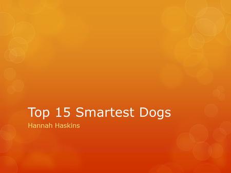 Top 15 Smartest Dogs Hannah Haskins. Cairn Terrier  This terrier is very spirited, Loyal, and usually independent. It is also very friendly and alert.