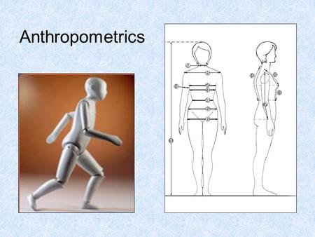 Anthropometrics.