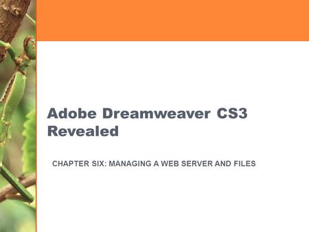 Adobe Dreamweaver CS3 Revealed CHAPTER SIX: MANAGING A WEB SERVER AND FILES.