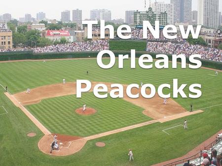 The New Orleans Peacocks. Brian Barden Short Stop #30 Height: 5’ 11” Weight: 200 Throws: Right Bats: Right.