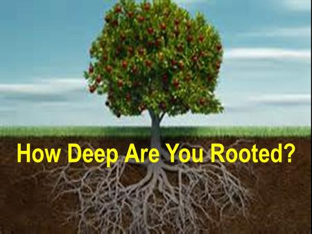 How Deep Are You Rooted?. Mark 4:3-9 “Hearken; Behold, there went out a sower to sow: And it came to pass, as he sowed, some fell by the way side, and.