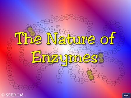 © SSER Ltd.. Of all the functions of proteins, one of the most important is that of catalysis In the absence of catalysis, most reactions in biological.