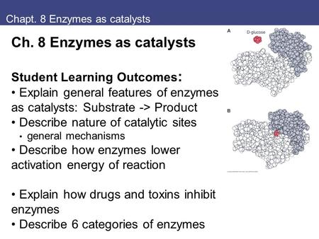 Chapt. 8 Enzymes as catalysts