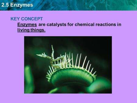 A Catalyst lowers activation energy.