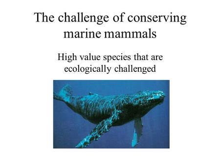 The challenge of conserving marine mammals High value species that are ecologically challenged.