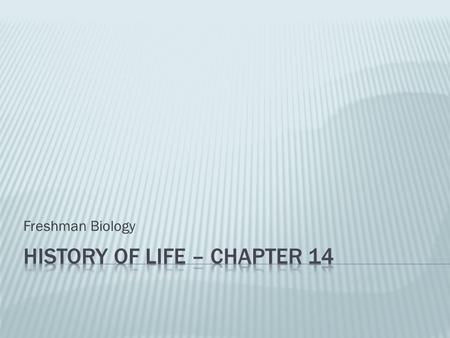 Freshman Biology.  Evolution of  Macromolecules  Unicellular organisms  Eukaryotic cells  Multicellular organisms  Endosymbiotic theory- eukaryotic.