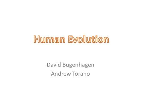 David Bugenhagen Andrew Torano. Dating for Dummies Radioisotopes are used to determine the age of a rock C 14 is used for younger samples of rocks, between.