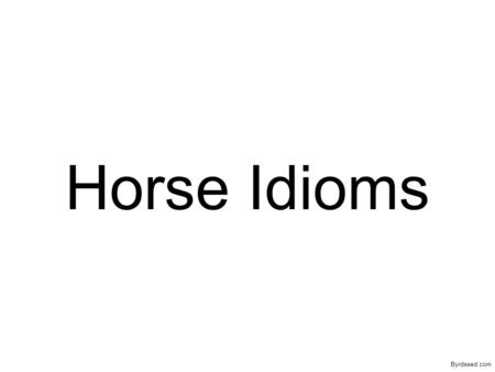 Horse Idioms Byrdseed.com. Don't put the cart before the horse. Byrdseed.com.