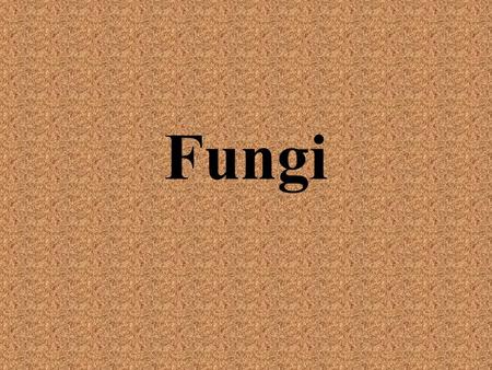 Fungi. The Kingdom Fungi Fungi are eukaryotic heterotrophs that have cell walls –Cell walls made of chitin—complex carbohydrate found in insects’ exoskeletons.