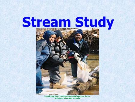 Stream Study. Agenda The Water Cycle Water, Water, Everywhere What is a Riparian Buffer The Question: Is our local stream healthy? The Methods The Analysis.