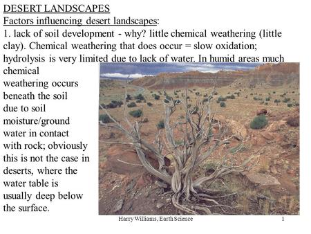 Harry Williams, Earth Science1 DESERT LANDSCAPES Factors influencing desert landscapes: 1. lack of soil development - why? little chemical weathering (little.