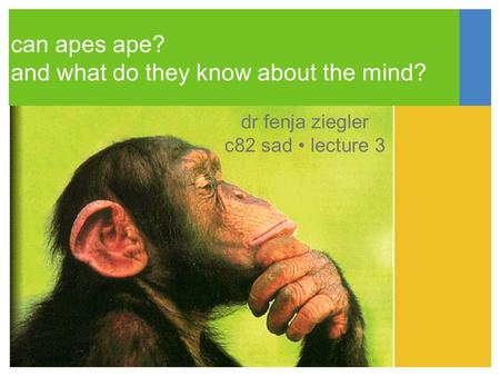 Can apes ape? and what do they know about the mind? dr fenja ziegler c82 sad lecture 3.