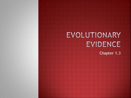 Evolutionary Evidence