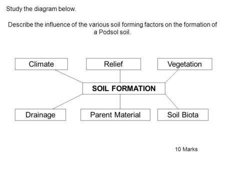 SOIL FORMATION ClimateReliefVegetation DrainageParent MaterialSoil Biota Study the diagram below. Describe the influence of the various soil forming factors.