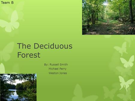 The Deciduous Forest By: Russell Smith Michael Perry Weston Jones Team B.