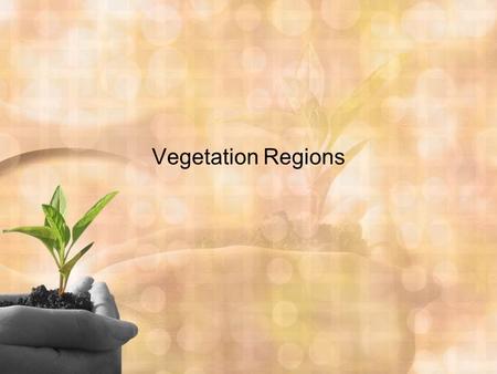 Vegetation Regions. Tundra Types of Natural Vegetation -Shrubs, mosses, lichens, small flowers Temperature Characteristics -cold, short growing season.