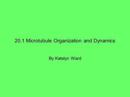 20.1 Microtubule Organization and Dynamics By Katelyn Ward.