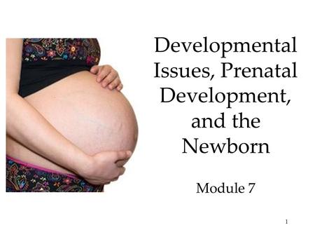 Developmental Issues, Prenatal Development, and the Newborn Module 7