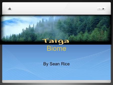 Biome By Sean Rice.