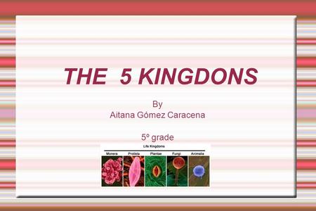 THE 5 KINGDONS By Aitana Gómez Caracena 5º grade.