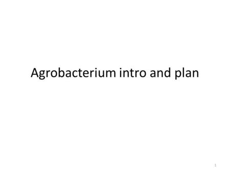 Agrobacterium intro and plan 1. intro This slide deck is the result of my conversations with Chris and our discussions at iGEM meetings. One of the best.