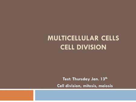 MULTICELLULAR CELLS CELL DIVISION Test: Thursday Jan. 13 th Cell division, mitosis, meiosis.