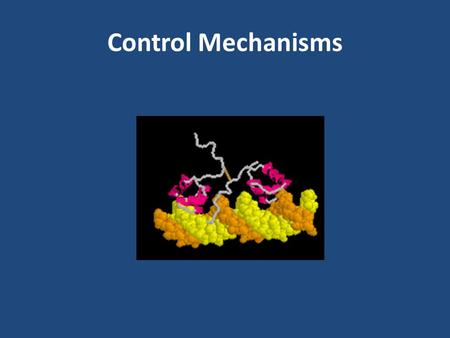 Control Mechanisms. Four Levels of Control of Gene Expression Type of ControlDescription Transcriptional Regulates which genes are transcribed. Controls.