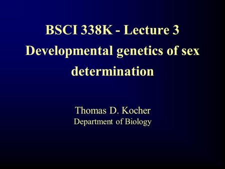 Thomas D. Kocher Department of Biology BSCI 338K - Lecture 3 Developmental genetics of sex determination.