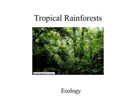 Tropical Rainforests Ecology. What is a rainforest? In ecological terms- “ multi-storied closed, broad-leafed vegetation with a continuous tree canopy.