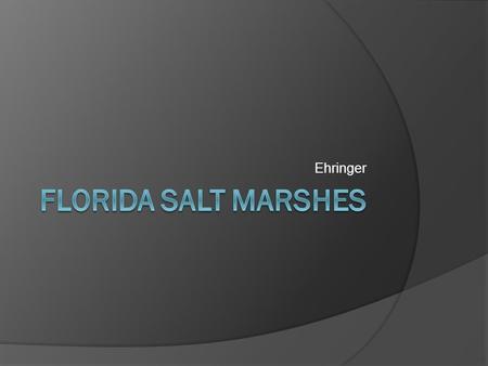 Ehringer. Salt marshes  Along the coasts of Florida, salt marshes are the bridges between the sea and the land. They are very productive systems that.