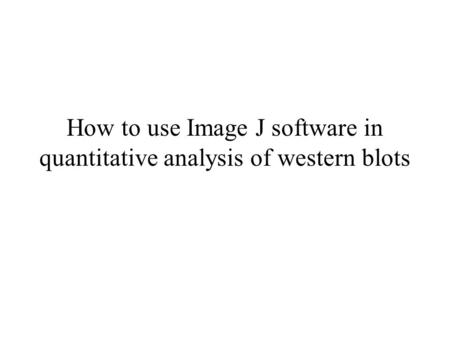 How to use Image J software in quantitative analysis of western blots.