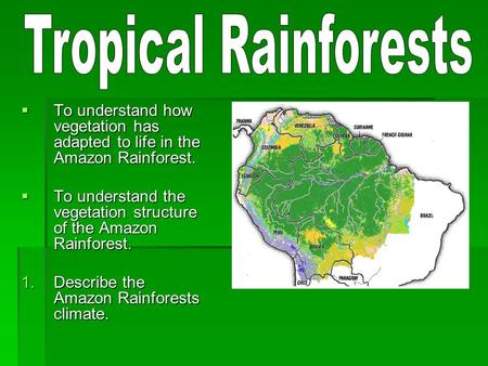  To understand how vegetation has adapted to life in the Amazon Rainforest.  To understand the vegetation structure of the Amazon Rainforest. 1.Describe.