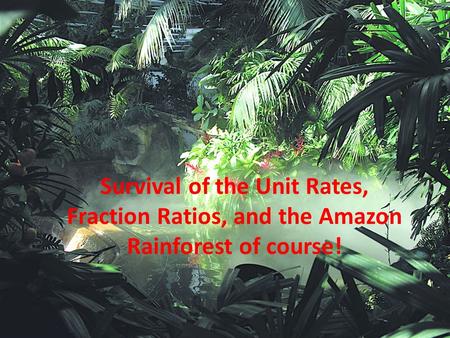 Survival of the Unit Rates, Fraction Ratios, and the Amazon Rainforest of course!