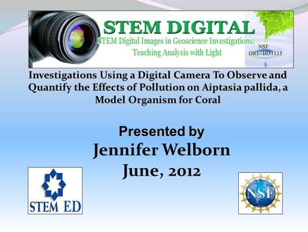 Investigations Using a Digital Camera To Observe and Quantify the Effects of Pollution on Aiptasia pallida, a Model Organism for Coral Presented by Jennifer.