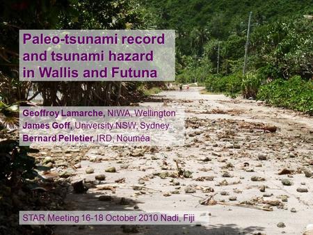 Paleo-tsunami record and tsunami hazard in Wallis and Futuna