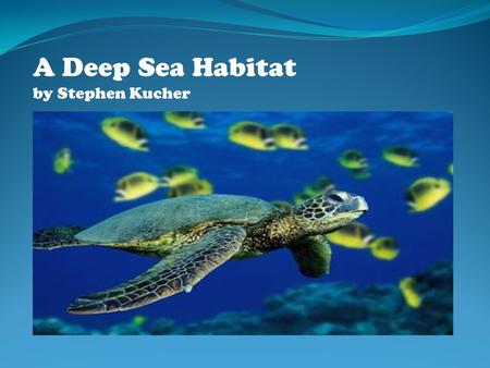 A Deep Sea Habitat by Stephen Kucher Deep sea facts 1. The average depth of a deep sea ocean is 3,800 meters and trenches up to 11,000. 2.The temperatures.