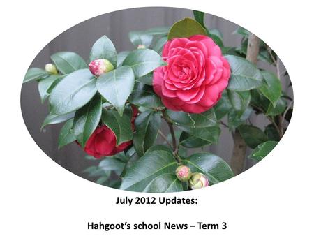 July 2012 Updates: Hahgoot’s school News – Term 3.