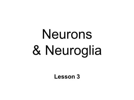 Neurons & Neuroglia Lesson 3. Basic Cell Biology n Eukaryotic cells n Cell membrane n Nucleus l chromosomes n Cytoplasmic organelles l Mitochondria l.