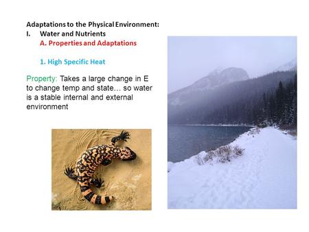 Adaptations to the Physical Environment: I.Water and Nutrients A. Properties and Adaptations 1. High Specific Heat Property: Takes a large change in E.