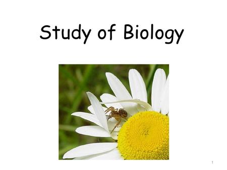 Study of Biology.