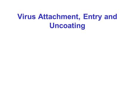 Virus Attachment, Entry and Uncoating