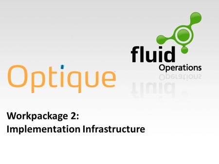 Workpackage 2: Implementation Infrastructure. WP2: Objectives Main Objective of WP2: Integrated Optique Platform Main Objective of WP2: Integrated Optique.