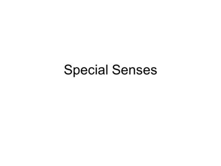 Special Senses. General Senses Dermatomes Referred Pain.